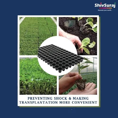 Shivsuraj 104 Cavity Seedling Tray, Round Shape Hole Germination Tray, For Sowing Seeds - Image 2