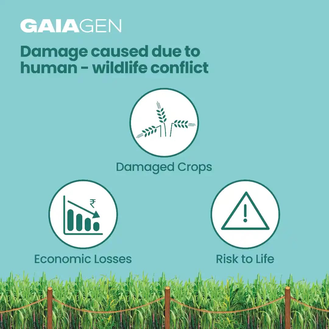 Gaiagen Neelbo Natural Formulation to Repel Wild Boars, Porcupines, Bison & Blue Bulls Without harming Them - Image 8