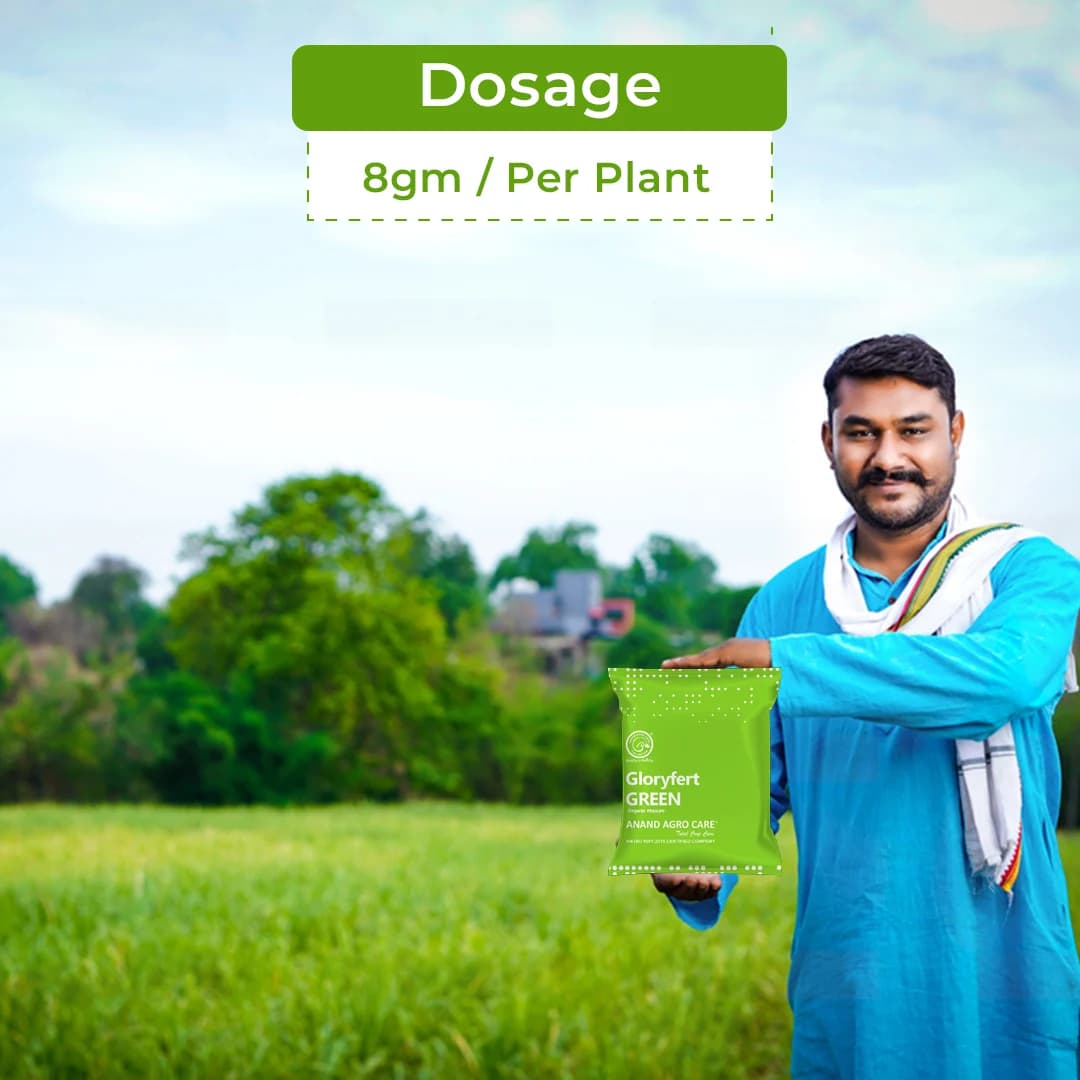 Gloryfert Green, 100 % Organic Manure Granules , Improve Physical, Chemical & Biological Properties Of Soil. - Image 5