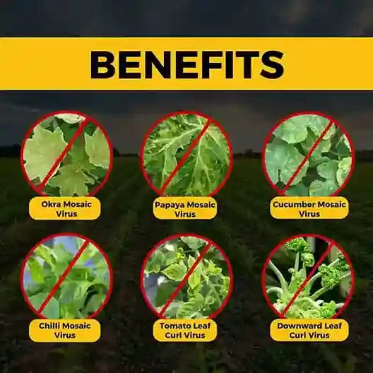 Katyayani Anti Virus Broad Spectrum Organic Virucide For All Viral Plant Diseases - Image 5