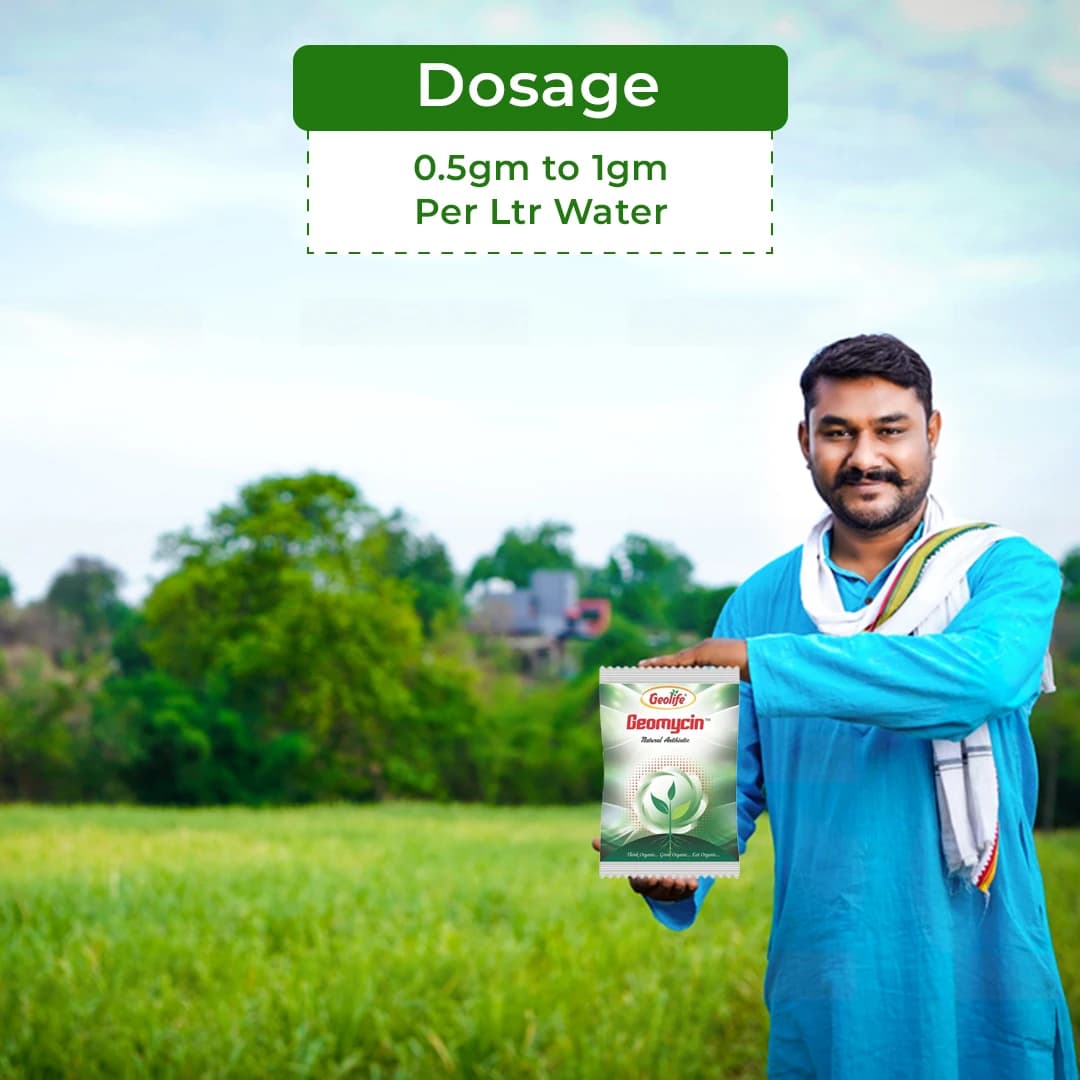 Geolife Geomycin Consortium Of Plant Extracts , Acts On Metabolic Processes Of Pathogens , Gives Complete Protection To Plant From Bacterial - Image 5