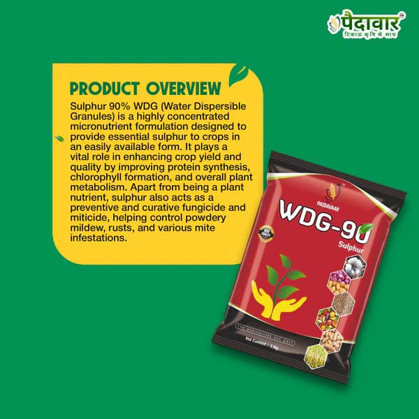 पैदावार डब्ल्यूडीजी-90 सल्फर 90% डब्ल्यूडीजी कवकनाशी और कीटनाशक - Image 5