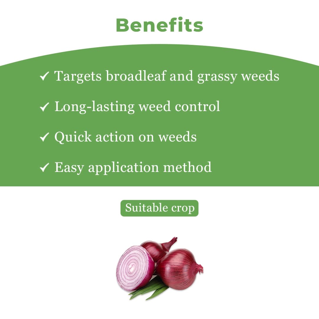 Adama Dekel Propaquizafop 5% + Oxyflurofen 12% EC, Broad Spectrum Herbicide for Both Types of Grasses and Broad Leaved Weeds in Onion Crop - Image 4