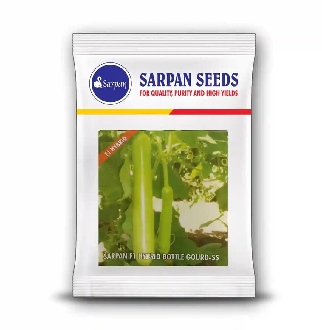 Sarpan F1 Hybrid Bottle Gourd-55, Very High Yield, Less Hairy Fruit Green Color, For All Seasons