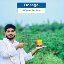 Sumitomo Haru Fungicide, Tebuconazole 10% + Sulphur 65% WG, Compatible With Most Chemical Agent. 5