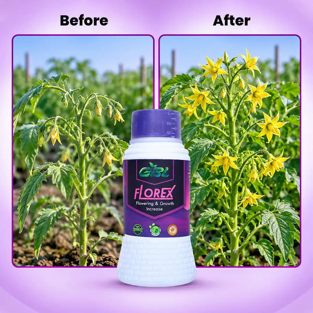 GBL Florex Flowering And Growth Enhancer, Branching And Yield Boost In All Crops - Image 4