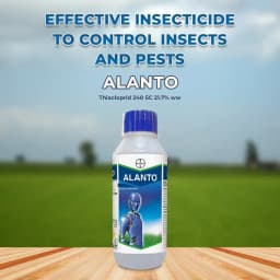 Bayer Alanto Thiacloprid 240 SC 21.7% ww Insecticides, Belongs to a Group of Neonicotinoid, An Effective Tool and Broad Spectrum of Pests 2