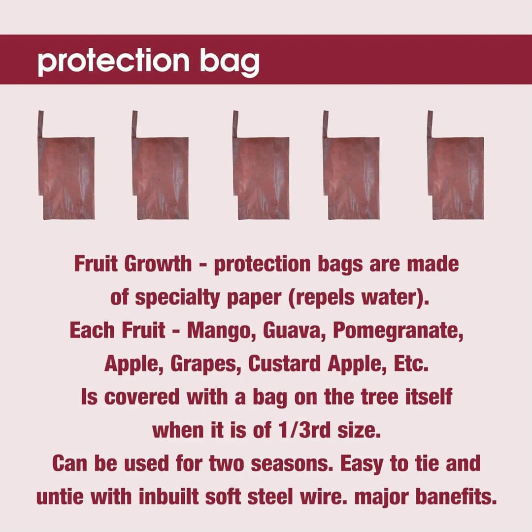 Radhe Mango Protection Growth Dual Layer Covers And Bags, (20 x 28 CM) Suitable For Alphonso & Kesar Mangoes (Brown) - Image 2