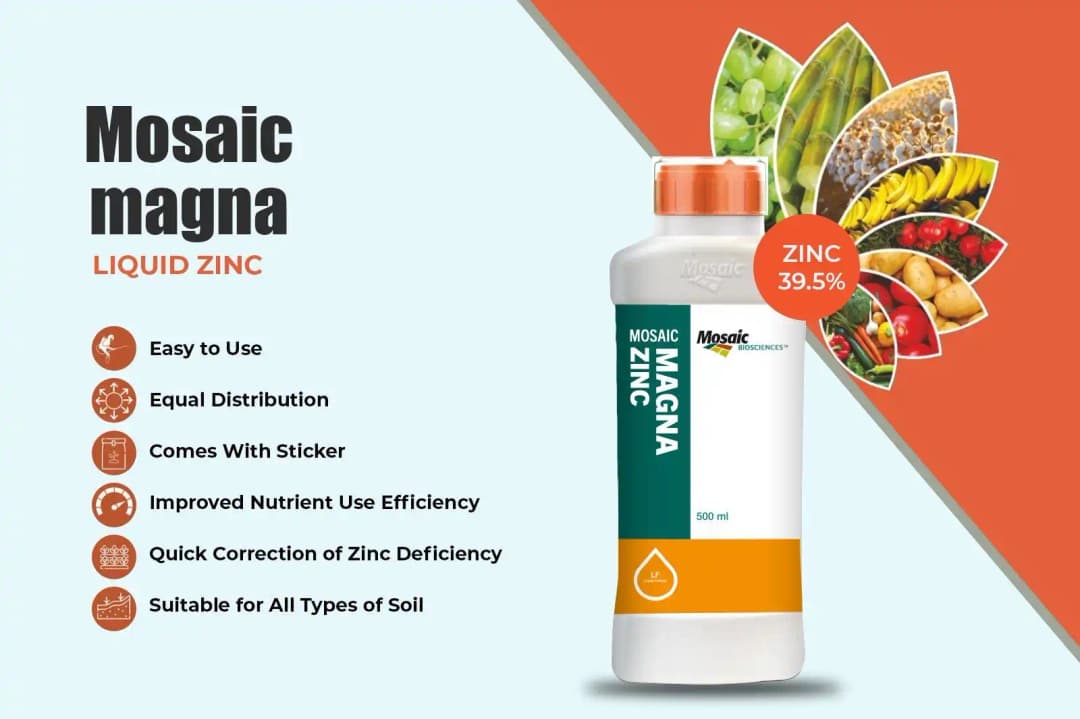 Mosaic Magna Zinc 39.5% Zinc Liquid Foliar Nutrition, Zinc Deficiency Correction And Enhanced Crop Growth - Image 4
