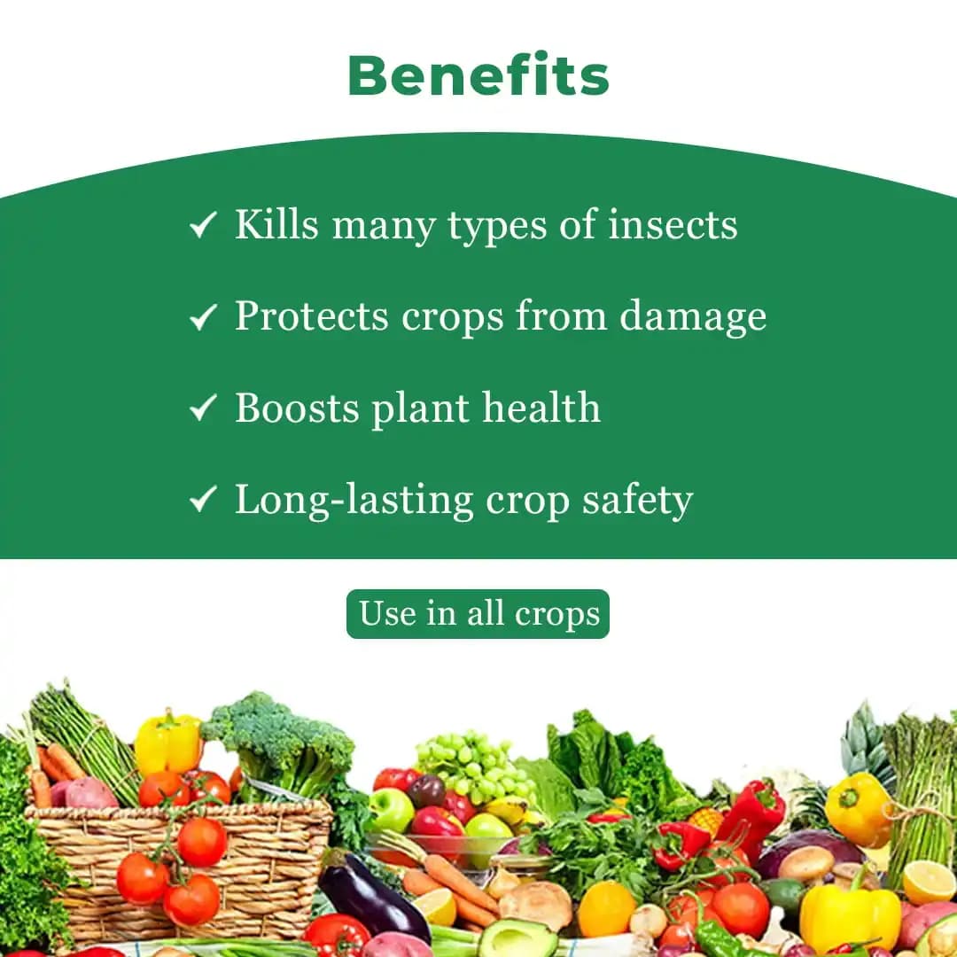 Coromandel Piranha Buprofezin 15% + Acephate 35% WP, Long-Lasting and Effective Tool for BPH and WBPH in Rice. - Image 4