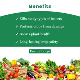 Coromandel Piranha Buprofezin 15% + Acephate 35% WP, Long-Lasting and Effective Tool for BPH and WBPH in Rice. 4