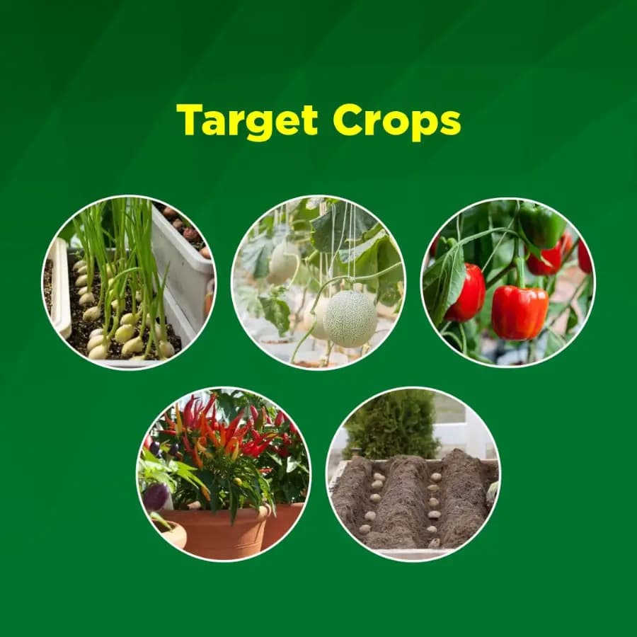 Titan Agritech ECO BLACK Potassium Humate Liquid 20% Organic Fertilizer, Effective For Soil And Plant Growth - Image 6