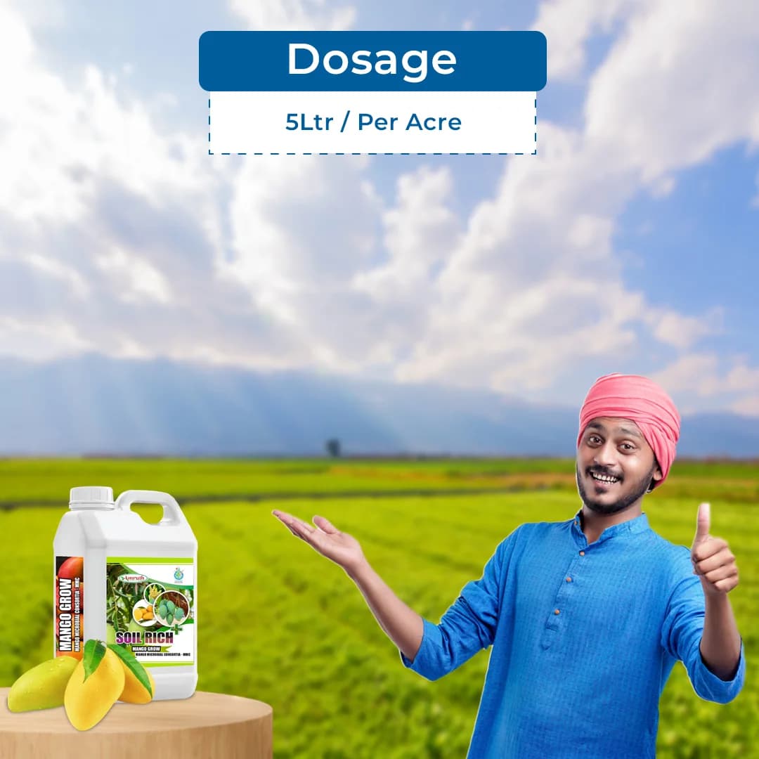 मैंगो ग्रो मैंगो माइक्रोबियल कंसोर्टिया-एमएमसी, पौधे की वृद्धि और विकास में मदद करता है, विशेष रूप से आम के लिए - Image 5