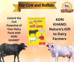 PASHU SVASTH KORI KHAND, Herbal Cooling Booster For Cattle And Buffaloes, Designed To Cool Cattle During Hot Weather, Increase Milk Production 2