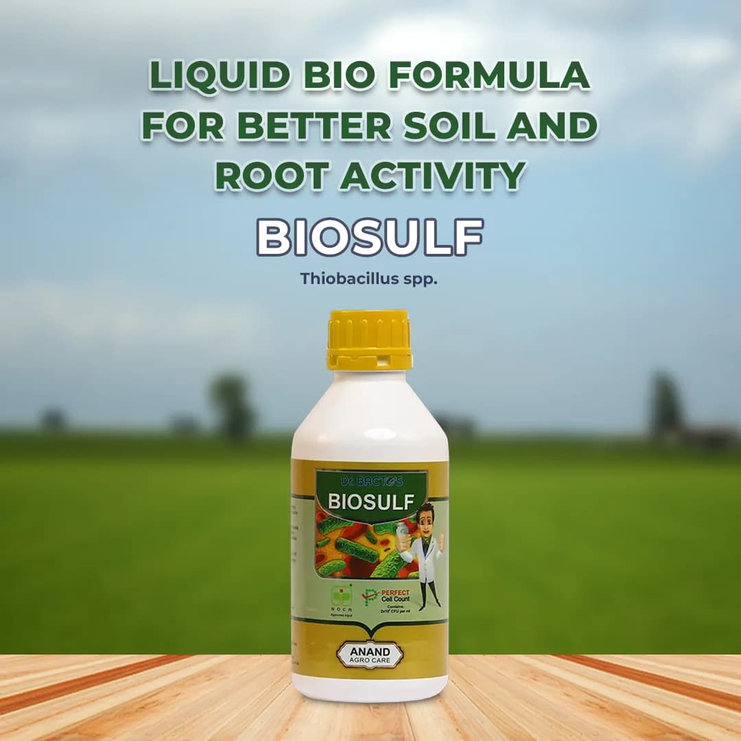Dr. Bacto\'s BioSulf (Vegetative Cells Of Thiobacillus Spp.), Non Toxic. Converts The Insoluble Form of Sulphur and Ferrous Into Soluble Form. - Image 2