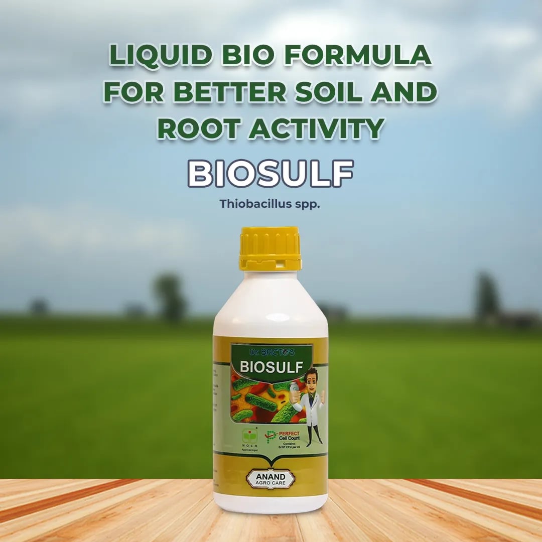 Dr. Bacto\'s Biosulf - Thiobacillus Spp.