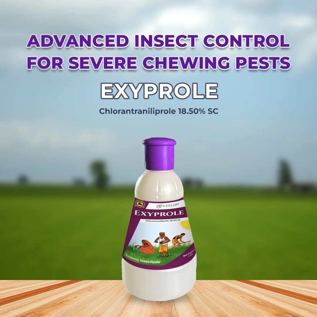 Exylon Exyprole Chlorantraniliprole 18.50% SC Insecticide, Effective Control Borer In Crops - Image 2