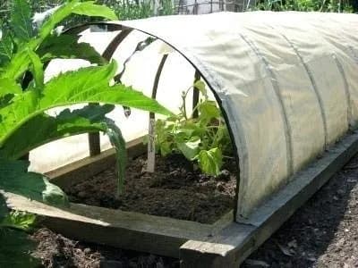 Siddhi Vinayak 6 Ft X 5 MM Crop Cover Plastic Wire, Fiber Plastic, Fencing Wire For Crop Cover. - Image 2