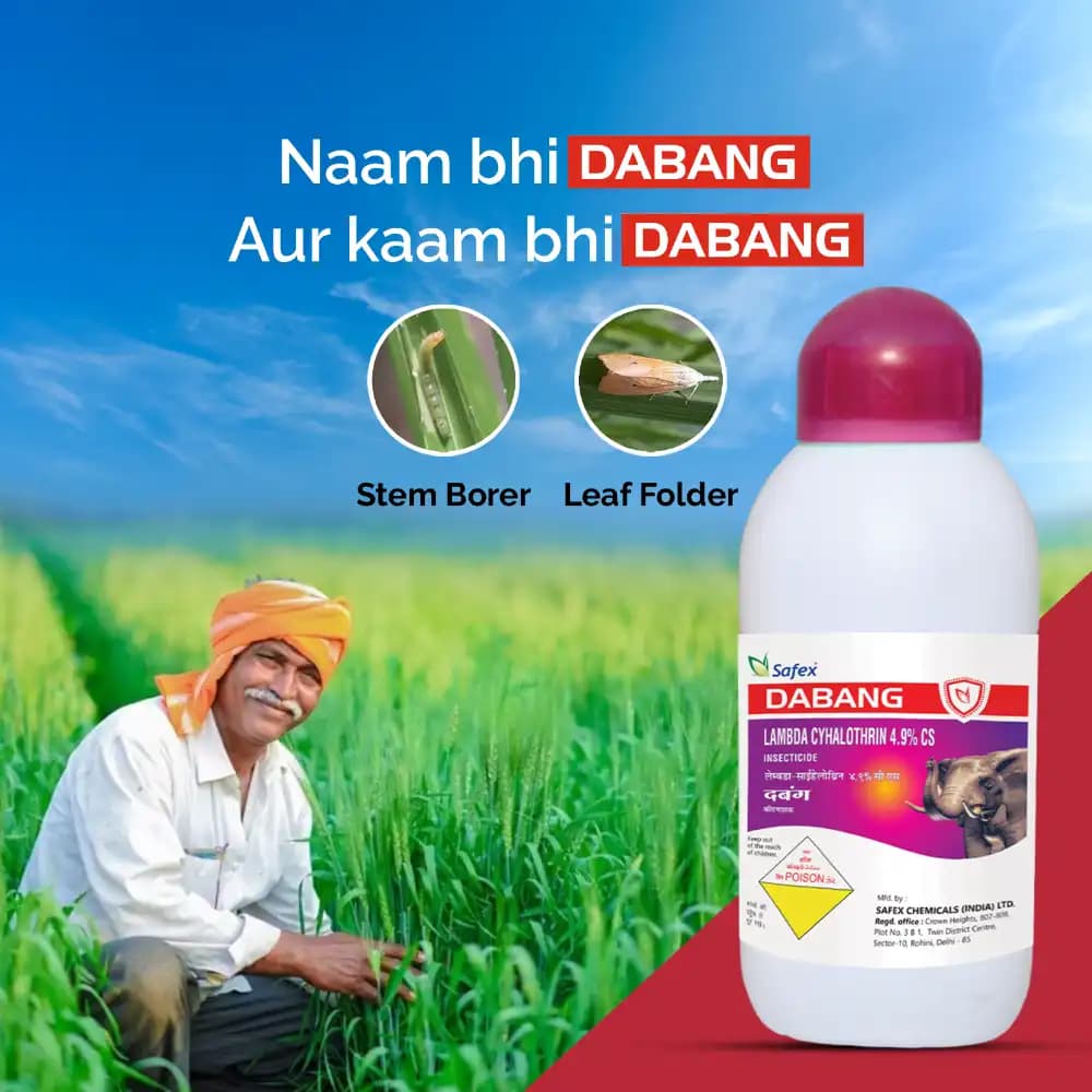 Safex Dabang Insecticide - Image 3
