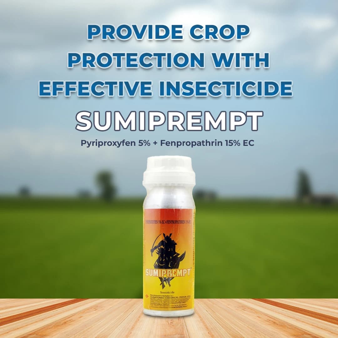 Sumitomo Sumiprempt Pyriproxyfen 5% + Fenpropathrin 15% EC For Controlling Whitefly . - Image 2