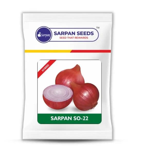 Sarpan SO 22 Hybrid Onion Seeds, Red Color And Suitable for Kharif and Rabi Season