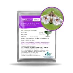 Gaiagen Brinjal Fruit And Shoot Borer Pheromone Lure For Leucinodes Orbonalis, IMO Certified. 1