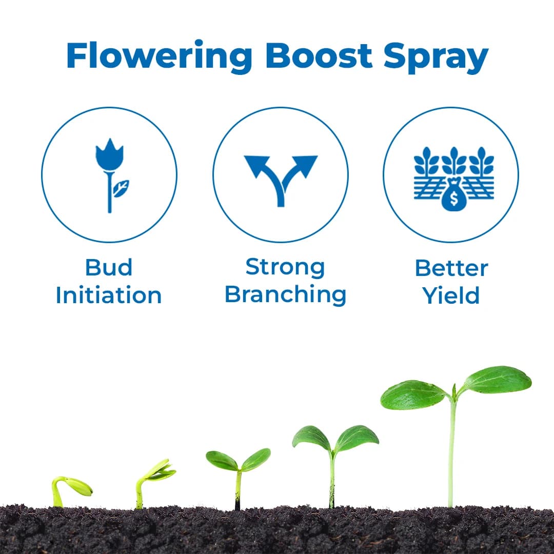 Tata Bahaar Plant Growth Promoter - Image 3