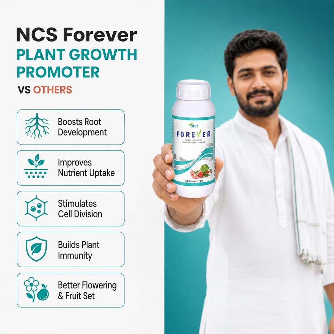NCS ಫಾರೆವರ್ ಸಸ್ಯ ಬೆಳವಣಿಗೆ ಪ್ರವರ್ಧಕ - Image 7