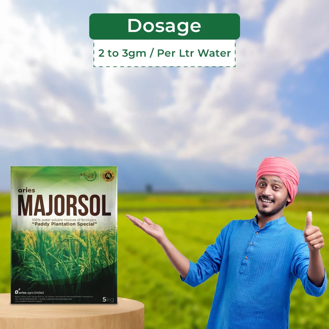 Aries Majorsol Fertilizer - Paddy Special - Image 5