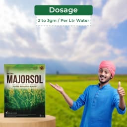 Aries Agro Majorsol Fertilizer (Paddy Plantation Special ), Fully Water Soluble Mixtures Of Fertilizers. 5