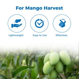 हेक्टेयर हल्के वजन का मैंगो फ्रूट पिकर, 4 बदली जा सकने वाली तेज ब्लेड और कॉटन नेट के साथ फ्रूट हार्वेस्टर, फ्रूट हार्वेस्टर (बिना पोल के) 3
