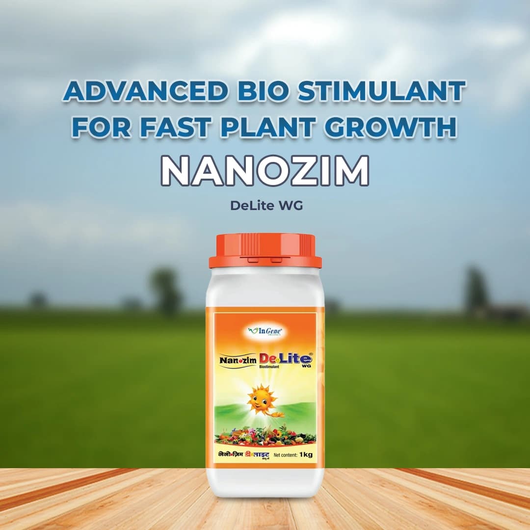 InGene Nanozim DeLite WG Bio-Stimulant, Advanced Seaweed Based For Enhanced Crop Growth And Yield - Image 2