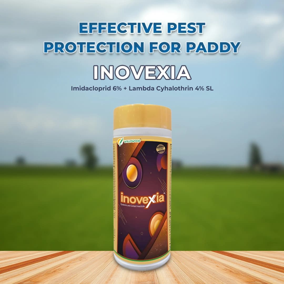 Willowood Inovexia Insecticide - Image 2