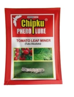 Chipku Pheromone Water Trap With Tuta Absoluta Lure To Catch Insect Tomato Leaf Miner (TLM) of Tomato, Potato, Egg Plant etc. 2