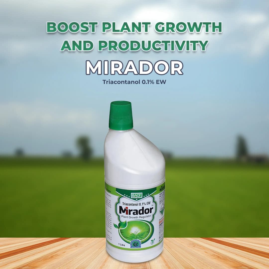 BACF Mirador Triacontanol 0.1% EW, Increases Plant Photosynthesis, Plant Growth Regulator - Image 2