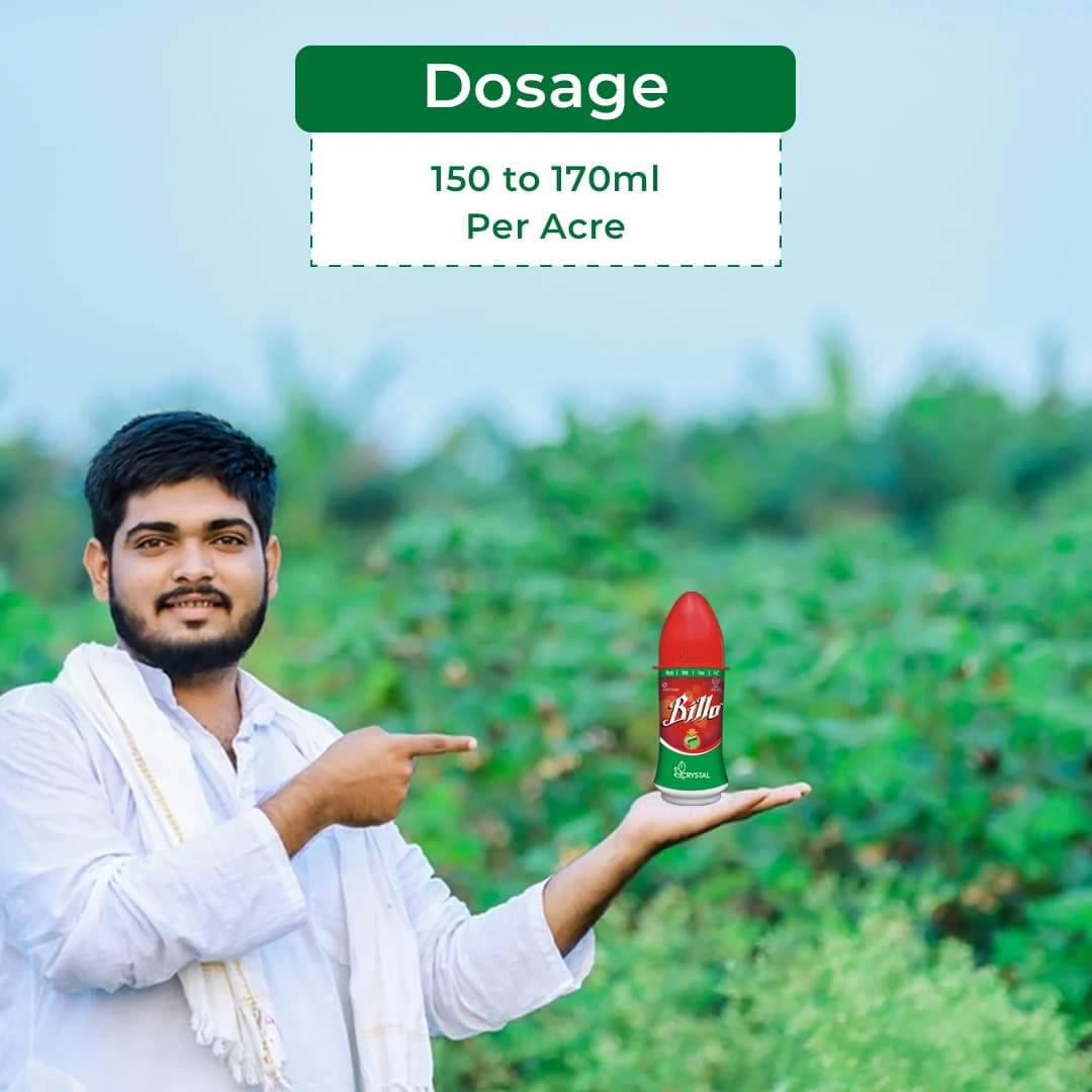 Crystal Crop Billo Ememectin Benzoate 1.9% EC. Effective insecticides for Cotton Bollworms and Tomato Fruit Borer - Image 5