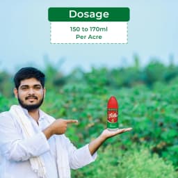 Crystal Crop Billo Ememectin Benzoate 1.9% EC. Effective insecticides for Cotton Bollworms and Tomato Fruit Borer 5