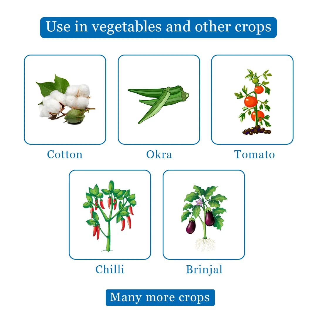 Sumitomo Lano Pyriproxyfen 10% SC Insecticides, Pyridine-Based Pesticide Used Against Variety Of Arthropoda. - Image 4