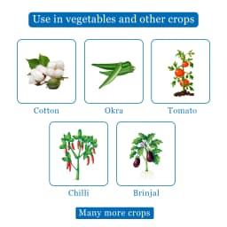 Sumitomo Lano Pyriproxyfen 10% SC Insecticides, Pyridine-Based Pesticide Used Against Variety Of Arthropoda. 4