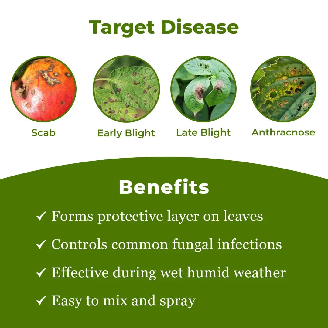 EBS Tucol Fungicide - Propineb 70% WP - Image 4