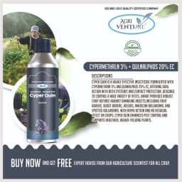 Agriventure Cyper Quin Cypermethrin 3% + Quinalphos 20% EC Insecticide, Effective Pest Control In Crops 2