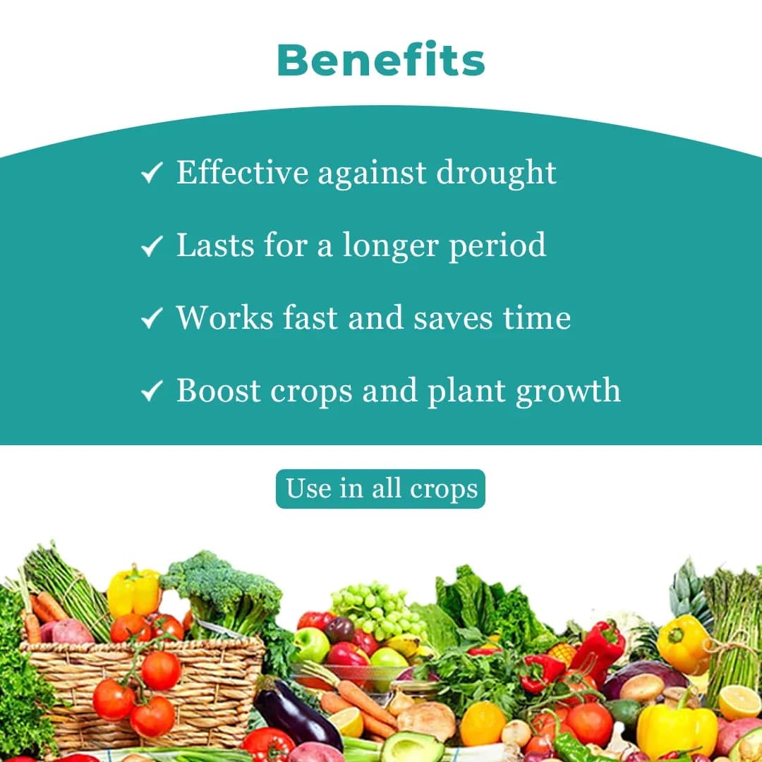 फॉरएवर - प्लांट ग्रोथ प्रमोटर स्पेशल, यील्ड एन्हांसर, इम्युनिटी बूस्टर (ह्यूमिक एसिड + एमिनो एसिड + समुद्री शैवाल एक्सट्रैक्ट + फुल्विक + साइटोकाइनिन) - Image 4