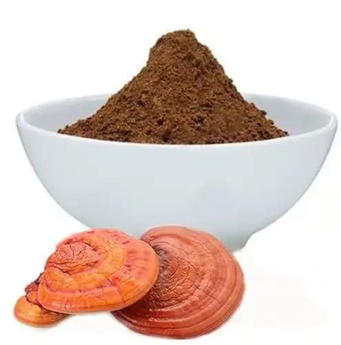 Sporekart Ganoderma Mushroom Spawn Seed, No Artificial Flavors, No Preservatives, Totally Organic