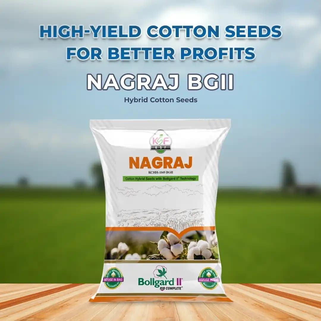Nagraj BGII - Hybrid Cotton Seeds (475 Gm) Bollgard ll Technology, Kapas Ke Beej - Image 2