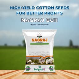 Nagraj BGII - Hybrid Cotton Seeds (475 Gm) Bollgard ll Technology, Kapas Ke Beej 2