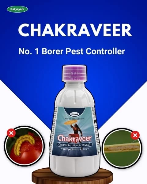 Katyayani Chakraveer Chlorantraniliprole 18.5% SC Insecticide, Advanced Effective Pest Control and Crop Protection - Image 2