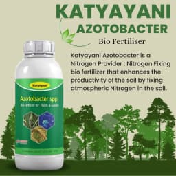 Katyayani Azotobacter Nitrogen Fixing Bio-Fertilizer, Enhancing Soil Fertility and Sustainable Crop Growth 3