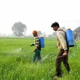 Kamal Agrotech Double Motor Spray Pump, 20L Tank, 12V x 14Ah Battery And Spray Gun, Multi-Purpose Use For Farming 5