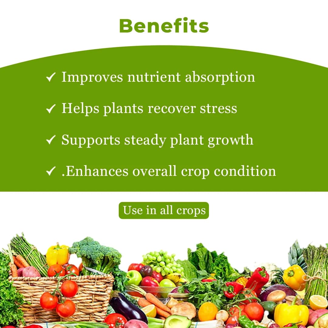 Jivagro Siapton 10 L Plant Bio-Stimulant - Image 4