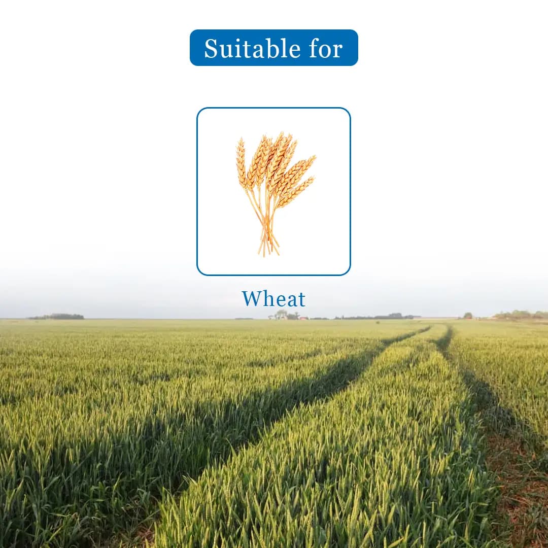 Bayer Atlantis Mesosulfuron Methyl 3% + Iodosulfuron Methyl Sodium 0.6 WDG Herbicide - Image 4